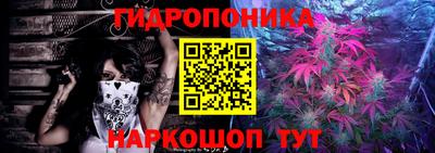 прущие грибы Абакан
