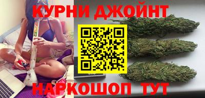 прущие грибы Абакан