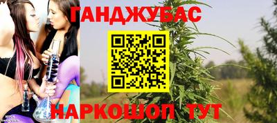 прущие грибы Абакан
