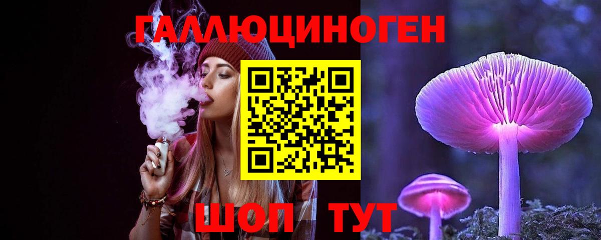 Псилоцибиновые грибы Psilocybe  Вход с VPN  Псилоцибиновые грибы ЛСД  Амурск 